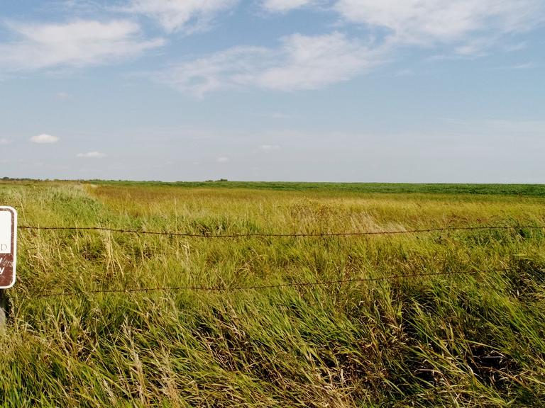 Crop & Grass in Sanborn County, South Da Advantage Land Co