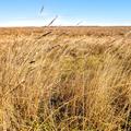 Land For Sale Near Highmore, SD - Hyde County