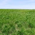 480+/- Acres in Buffalo Co, SD - Buffalo County