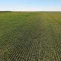 160+/- Acres in Spink Co, SD - Spink County