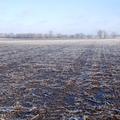 80+/- Acres in Kingsbury Co, SD - Kingsbury County