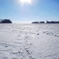 73.11+/- Acres in Brookings Co, SD - Brookings County
