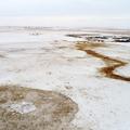 320+/- Acres in Hyde Co, SD - Hyde County