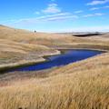 3,780.81+/- Acres in Jackson & Mellette Co, SD - Jackson & Mellette County
