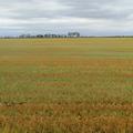 157.24+/- Acres in Spink Co, SD - Spink County