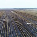 80+/- Acres of Crop Land in Moody Co, SD! - Moody County