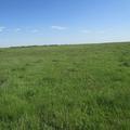 160+/- Acres in Sanborn Co, SD - Sanborn County