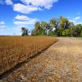 160+/- Acres in Beadle Co, SD - Beadle County