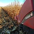 80+/- Acres in Pipestone Co, MN - Pipestone County, MN