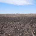 160+/- Acres in Clark Co, SD - Clark County