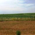 480+/- Acres in Hughes Co, SD - Hughes County
