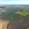 320+/- Acre in Miner Co, SD - Miner County
