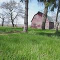 80+/- Acres of Cropland & Acreage Site in Lake Co, SD - Lake County, SD