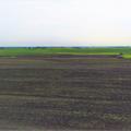 126+/- Acres of Cropland Near Arlington, South Dakota - Brookings County