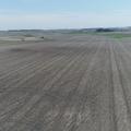 Crop and RIM Land Near Arco, Minnesota - Lincoln County, MN