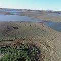 Recreational Pasture Near Webster, South Dakota - Day County