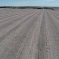 Crop Land Auction Between Kimball & Gann Valley, SD! - Buffalo County